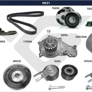 Zestaw paska klinowego wielorowkowego HUTCHINSON MK31 Darmowa dostawa